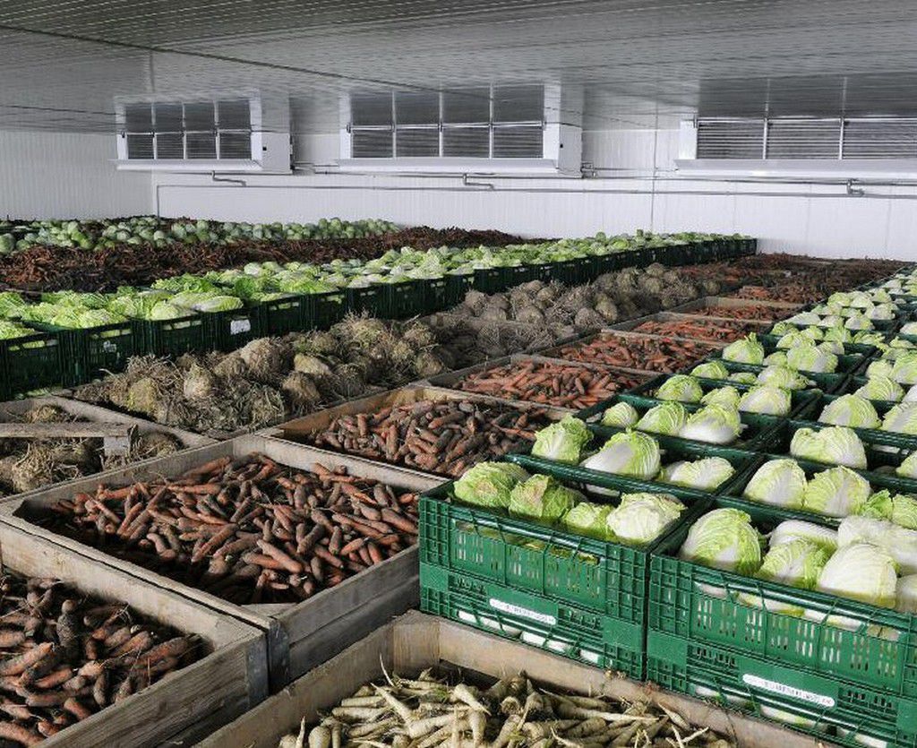 Хранение сх. Хранилище для овощей. Склад овощей. Хранение овощей на складе. Овощехранилище для картофеля.